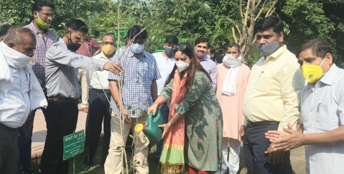 plantation_jstnews