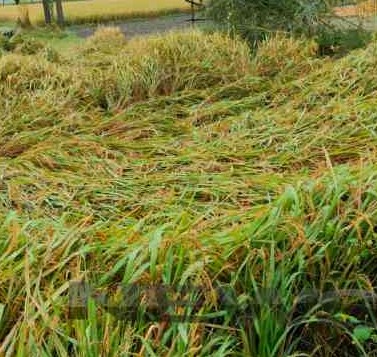 Picsart_25-10-31_12-03-32-545~2